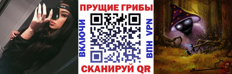 KRAKEN сайт  Кирсанов  Галлюциногенные грибы ЛСД 
